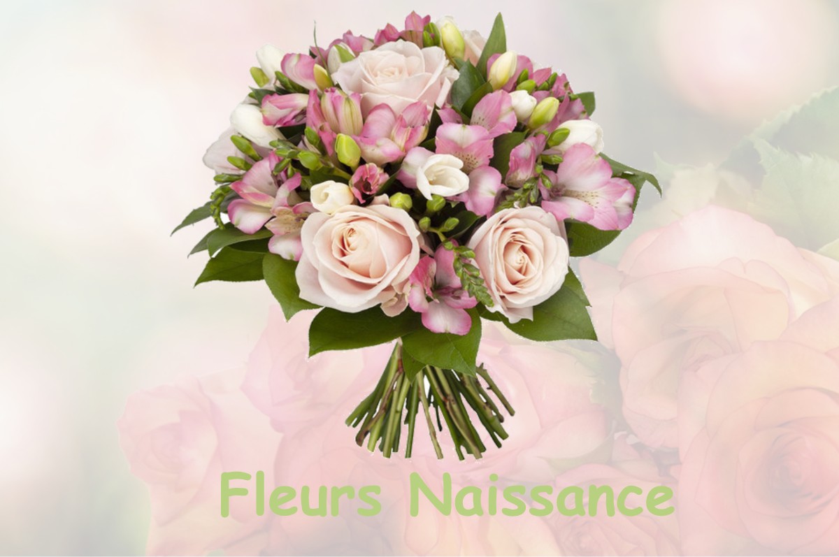 fleurs naissance COLLONGE-LA-MADELEINE