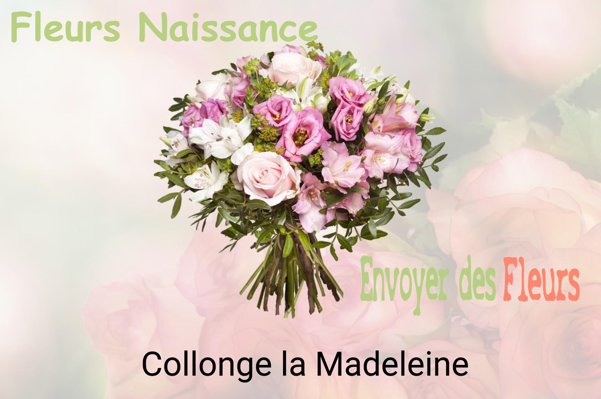 Bouquet de fleurs de naissance livré à Collonge-la-Madeleine